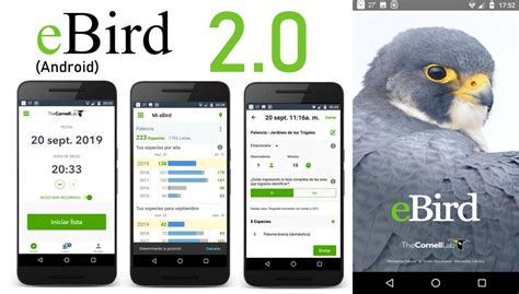 ebirds|ebird download.